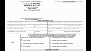 Notary and Nuptials News 4 marriage license app